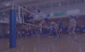 volleyball-703790